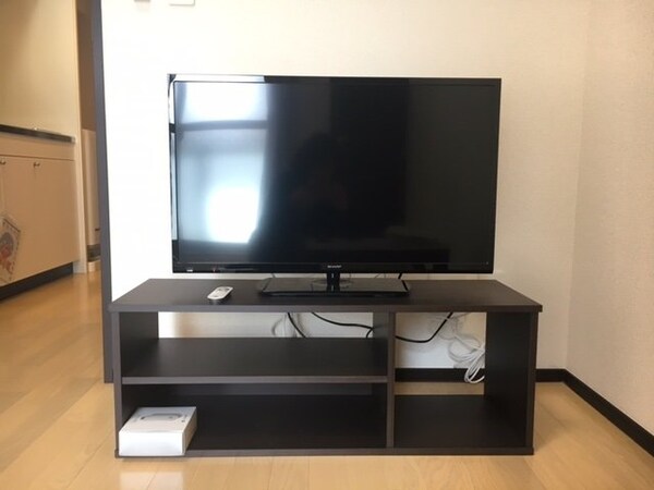 その他(テレビ)