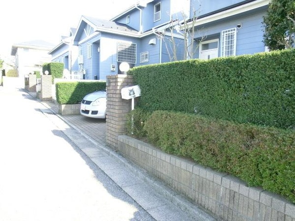 庭(敷地内植栽)