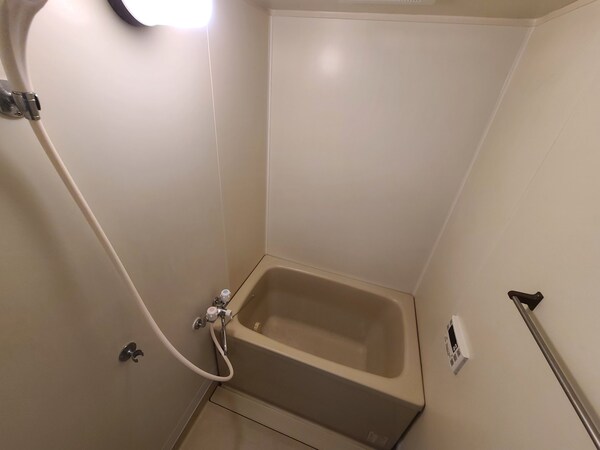 バス／シャワールーム等(※同建物　別室設備施工例　現況優先)