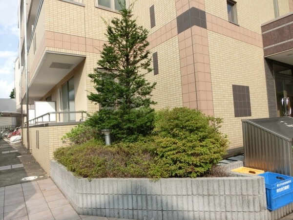 庭