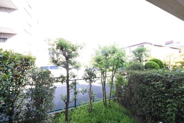 眺望(バルコニーからの景色)