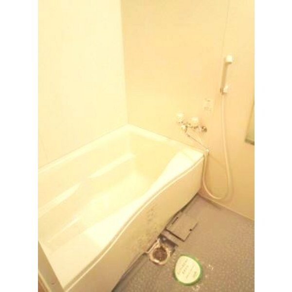 バス／シャワールーム等(広めのバスルーム。)