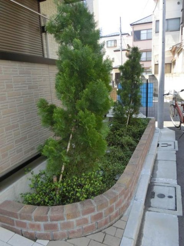 庭(植栽)
