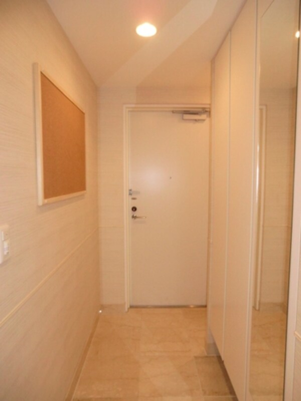 玄関(ミラー・収納付玄関)