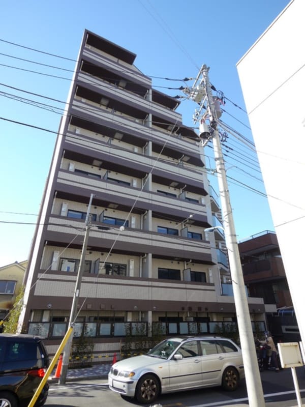 庭