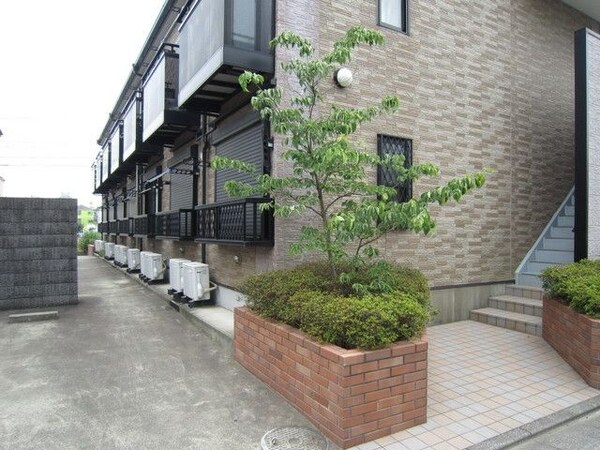 庭(植栽です)