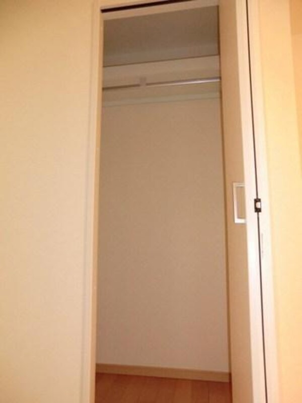 収納(広々したクローゼット)
