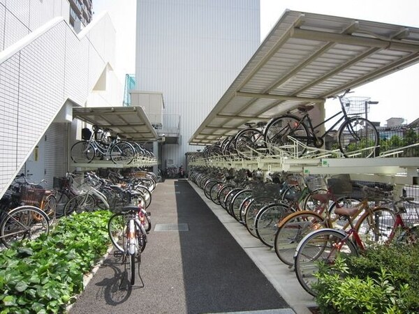 庭(駐輪場)
