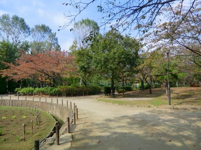 しょうぶ沼公園