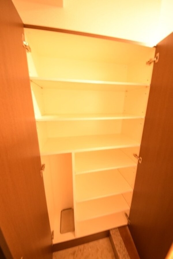 収納(シューズＢＯＸ)