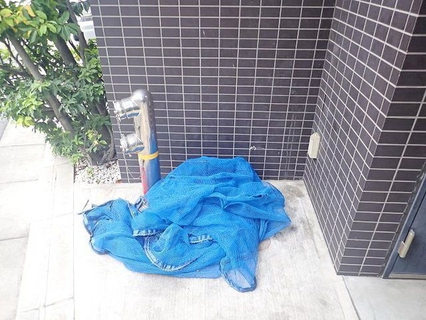 その他(庭)