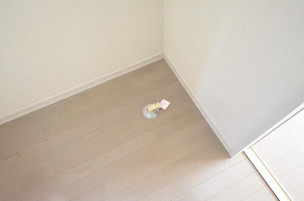 その他(♪洗濯機はこちらに♪)