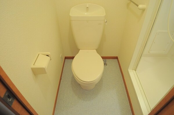 トイレ(「同タイプの部屋の写真です」「現況優先」)