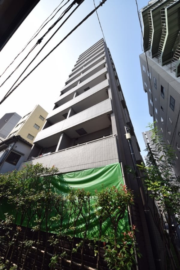 外観(外観)