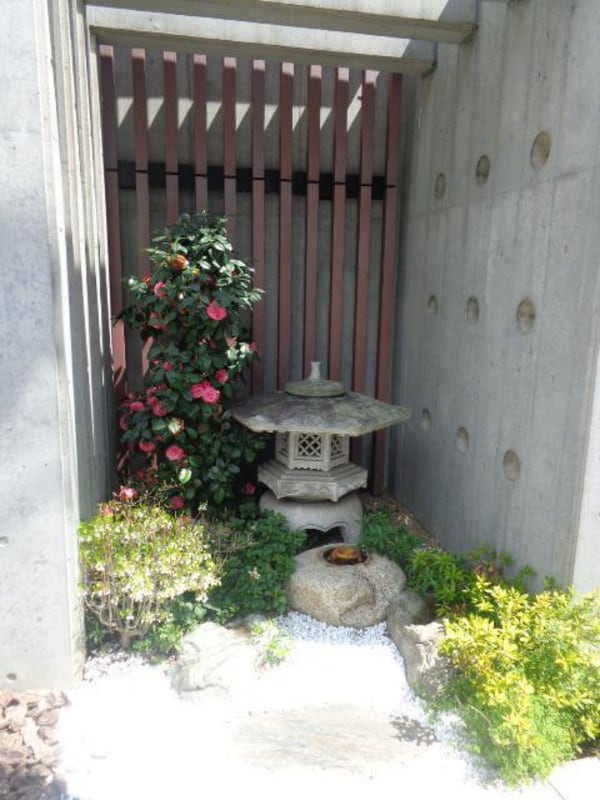 庭(植栽)