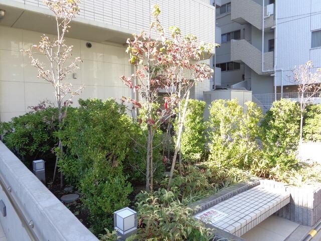 物件内観写真19　(植栽)