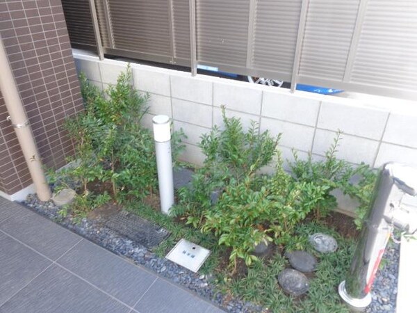 庭