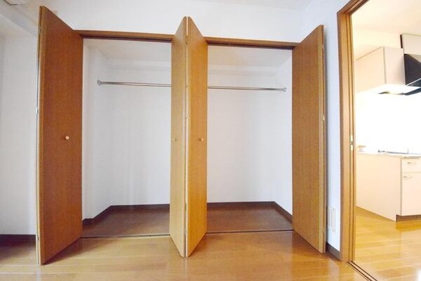 収納(ウォークインクローゼット)