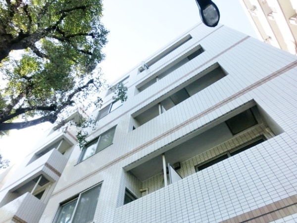 外観(人気の分譲マンション)