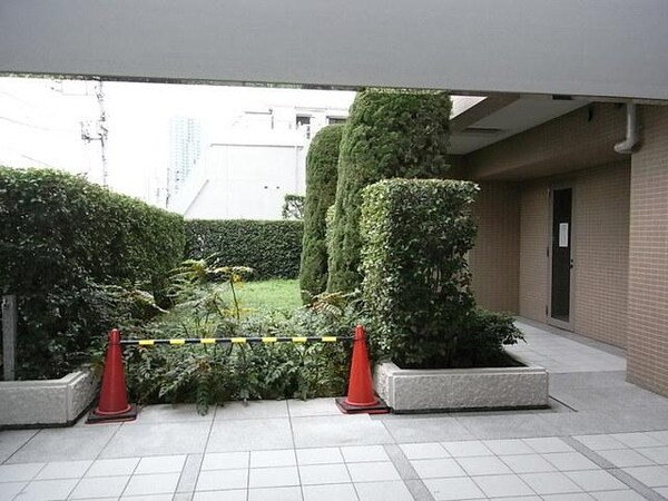 庭(緑溢れる植栽スペース)