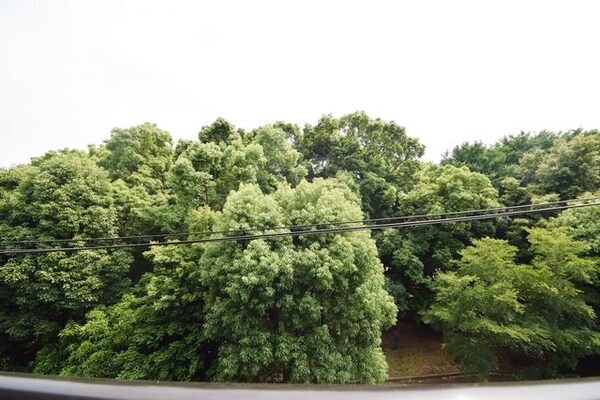 眺望(★部屋からみた景色です★)