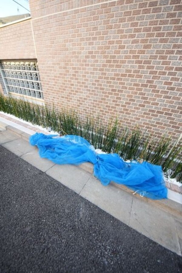 共有部分(ゴミ捨て場)