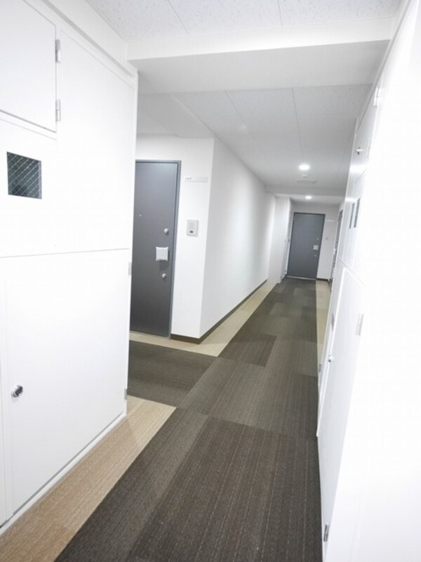 エントランス(高級感のあるじゅうたん敷きの内廊下)