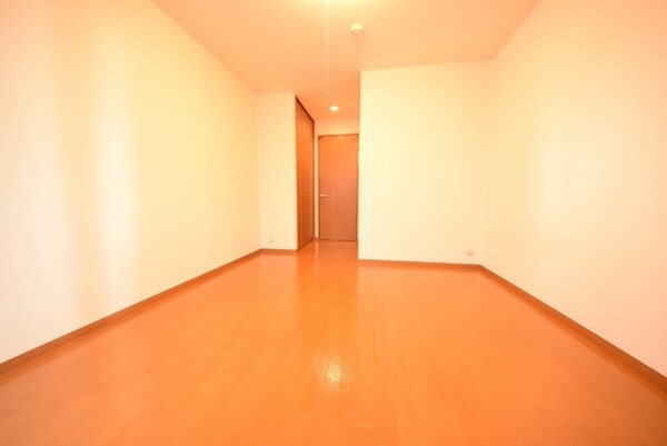 その他室内・内装(使い勝手のいいお部屋です)