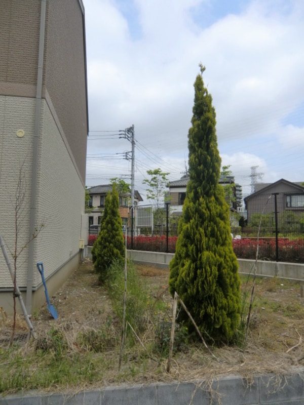 庭(植栽)