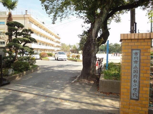 国府台小学校