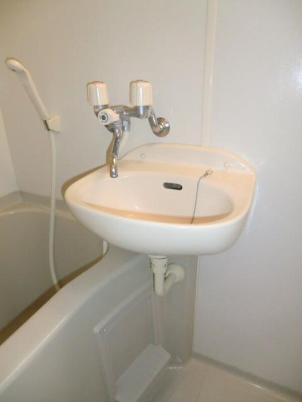 洗面(バスルームに洗面台付き)