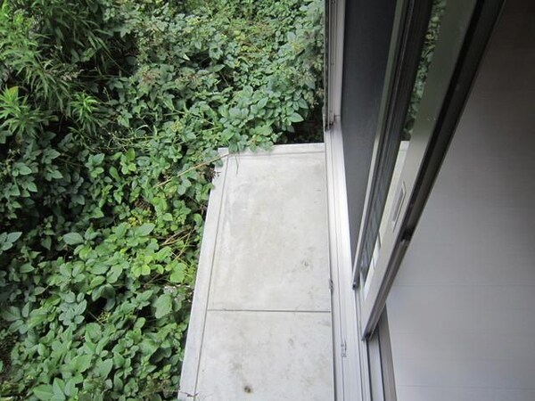 バルコニー(緑豊かなバルコニー)