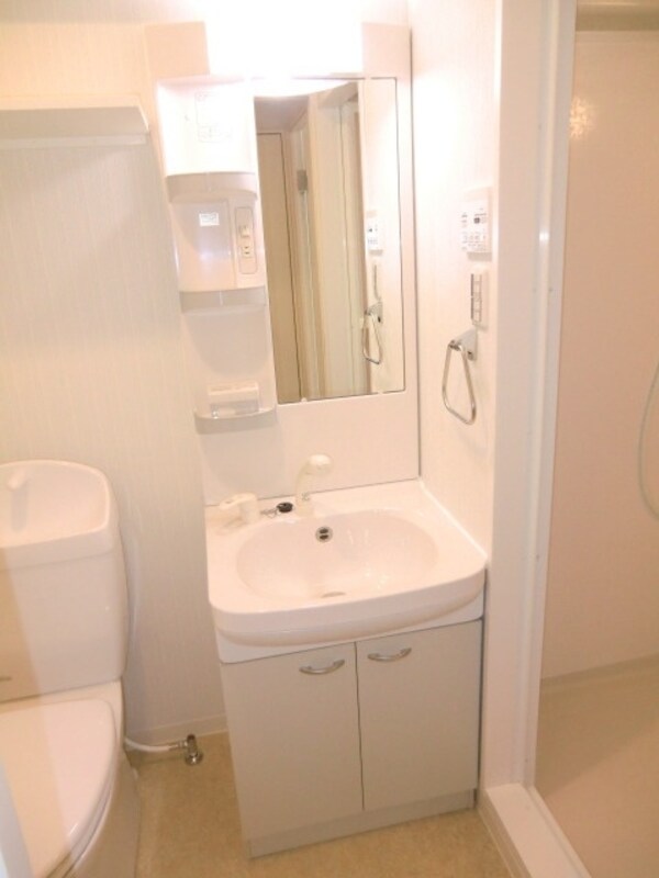 洗面(嬉しいシャンプードレッサー)