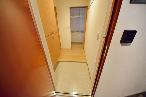 玄関(別部屋参考写真)