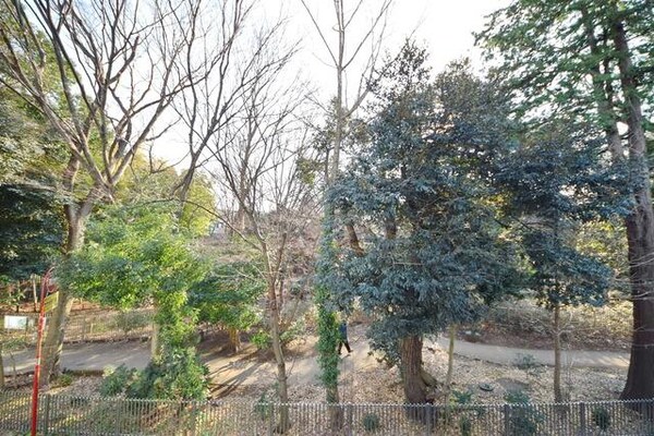 眺望(別部屋参考写真)