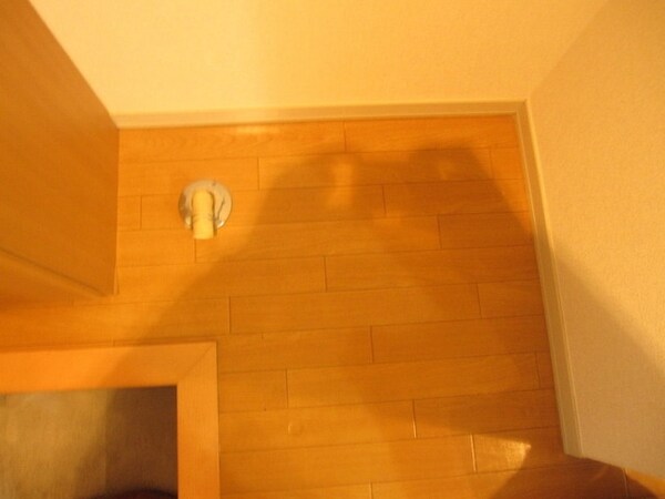 洗面(★室内洗濯機置場★)