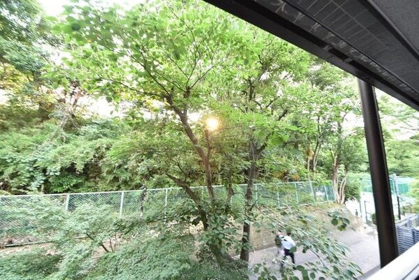 眺望(お問合せは(株)タウンハウジング東京へ)