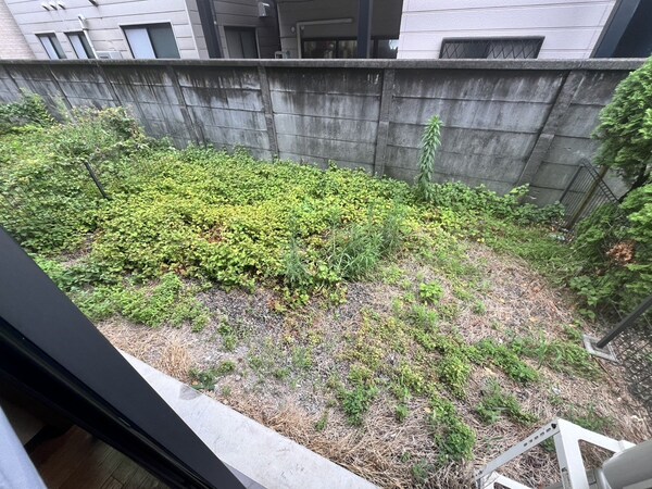 庭