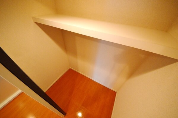 収納(ウォークインクローゼット)