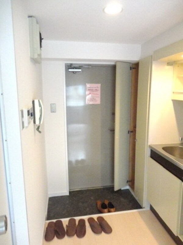 玄関(別部屋参考写真)