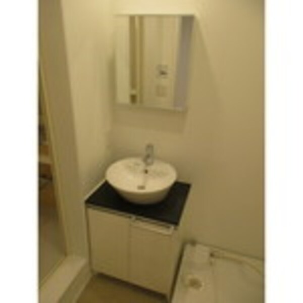 洗面(他号室参考写真)