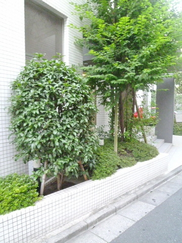 内観写真