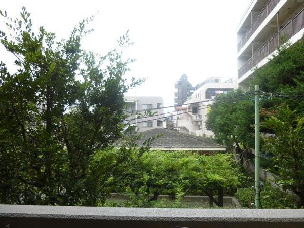 眺望(★緑が沢山見えて気持ちいいです★※別部屋参考画像)
