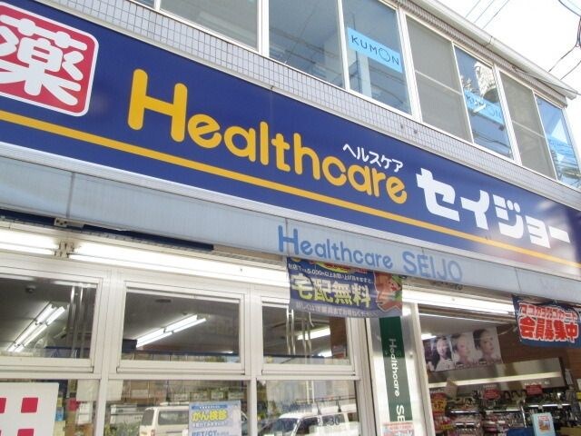 くすりセイジョー
