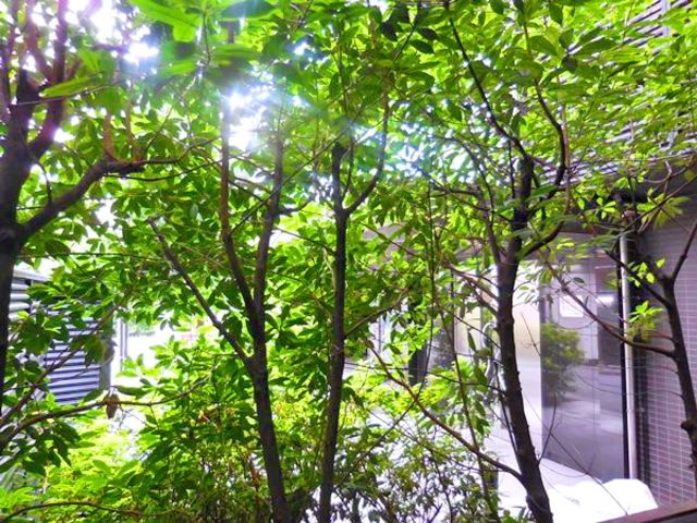 内観写真