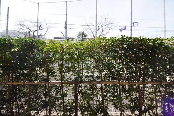 眺望(★1階の参考★)