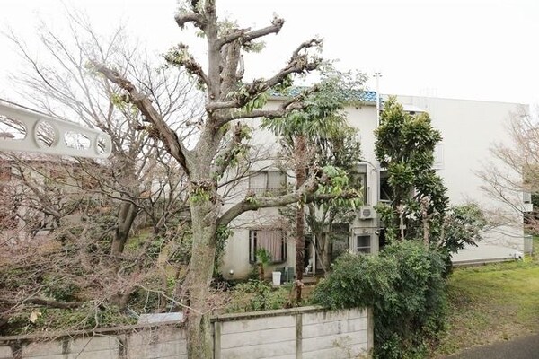 眺望(お部屋探しは株式会社　タウンハウジング　までお気軽にお問合…)