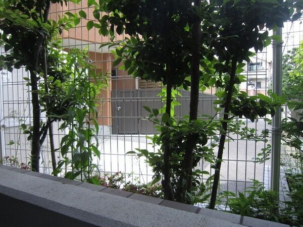 眺望(緑溢れる眺望☆)