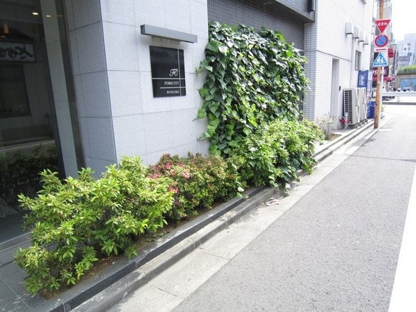 庭(植栽)