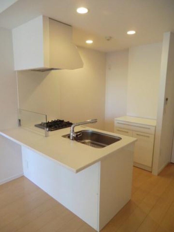 キッチン(ディスポーザー付カウンターシステムキッチン)